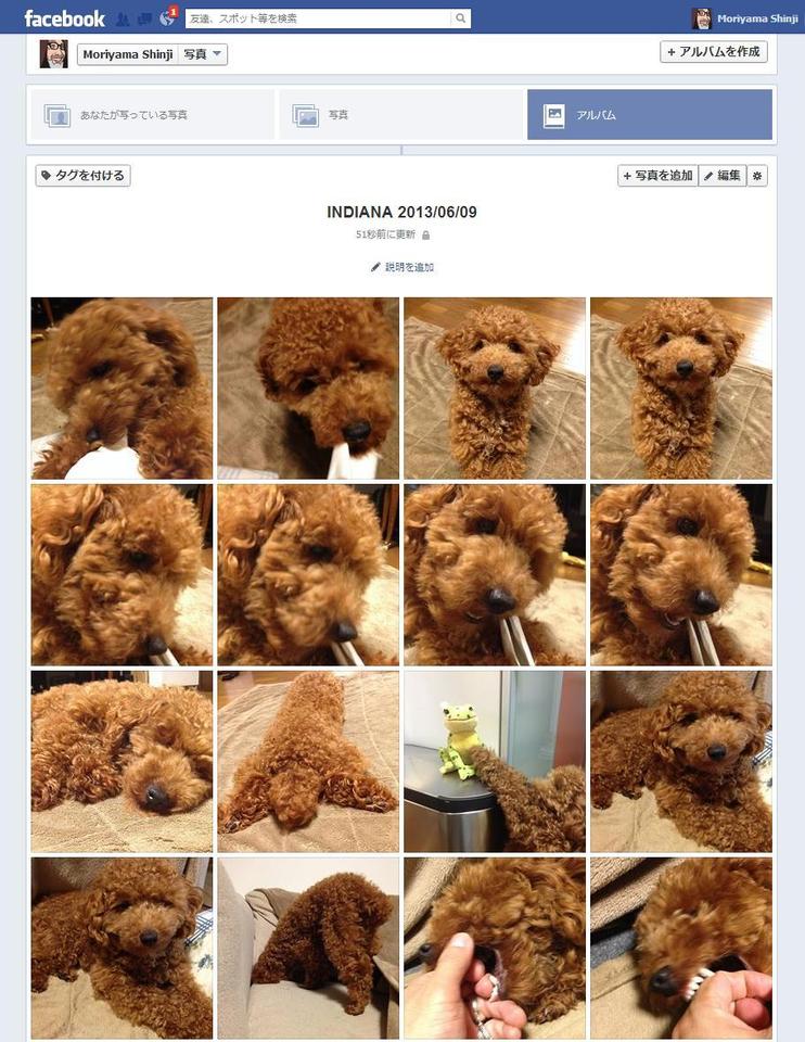 http://www.houyhnhnm.jp/blog/moriyama/images/jedi_13_06_09.JPG