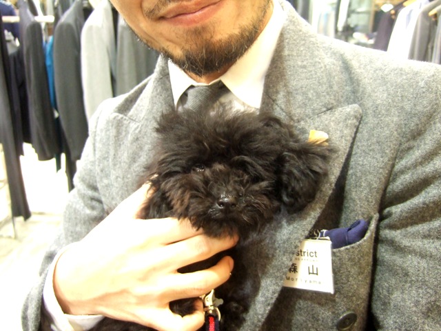 http://www.houyhnhnm.jp/blog/moriyama/images/jedi_DSCF5113.JPG