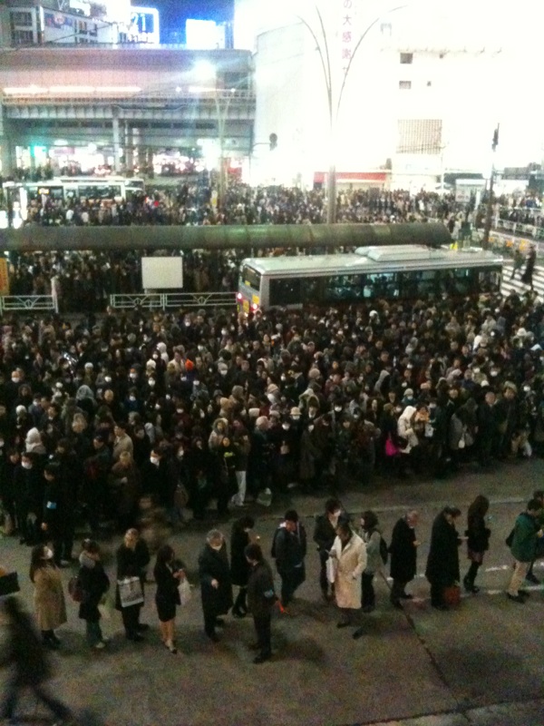 http://www.houyhnhnm.jp/blog/moriyama/images/jedi_IMG_9843.jpg
