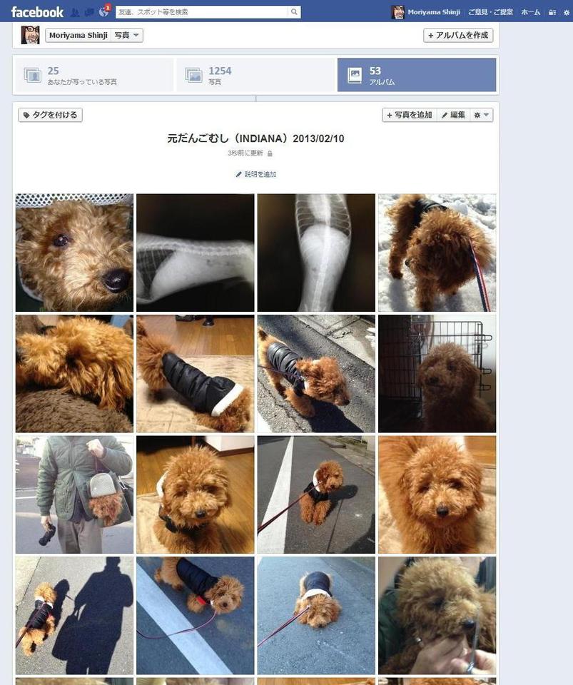 http://www.houyhnhnm.jp/blog/moriyama/images/jedi_indiana2013_02.JPG