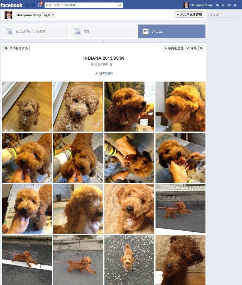 http://www.houyhnhnm.jp/blog/moriyama/images/jedi_indiana_album.JPG