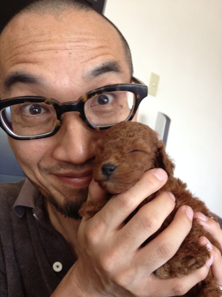 http://www.houyhnhnm.jp/blog/moriyama/images/jedi_indy_puppy_2012jul_first.JPG