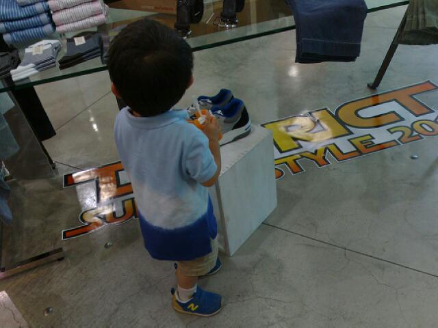 http://www.houyhnhnm.jp/blog/moriyama/images/jedi_maharo_100719_1.jpg
