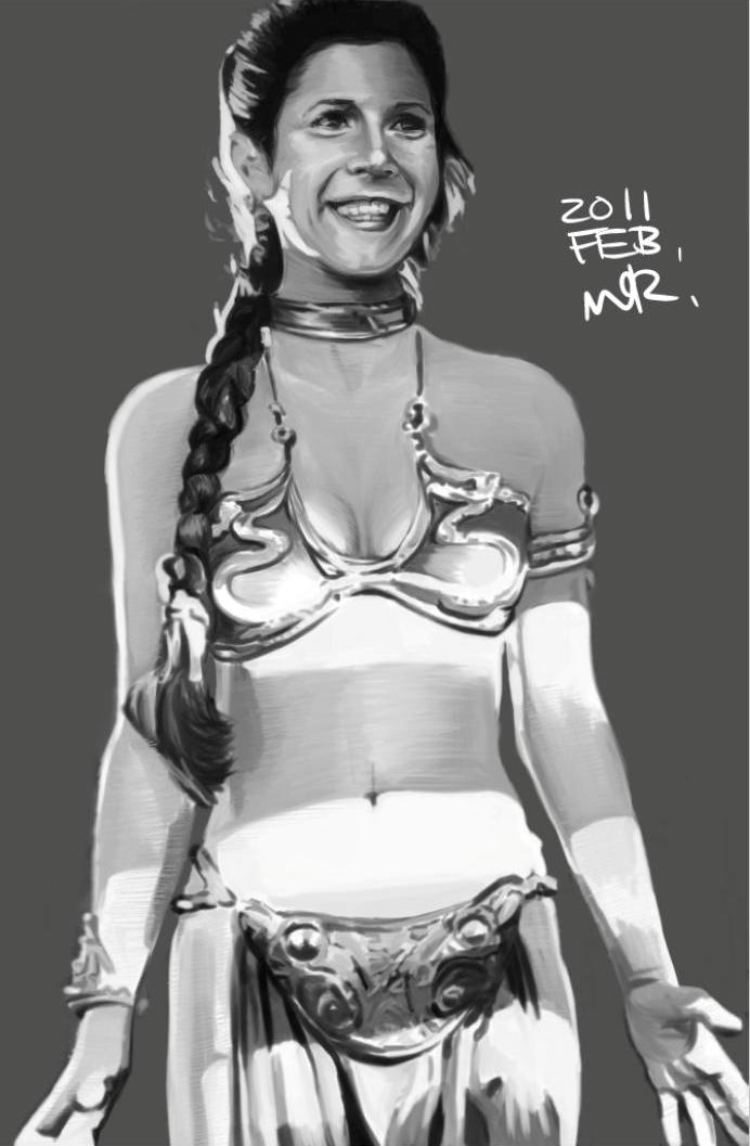 http://www.houyhnhnm.jp/blog/moriyama/images/jedi_slave_leia3.jpg