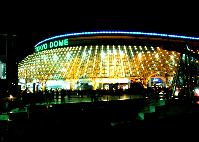 http://www.houyhnhnm.jp/blog/naotoshi_harada/images/dome1.jpg