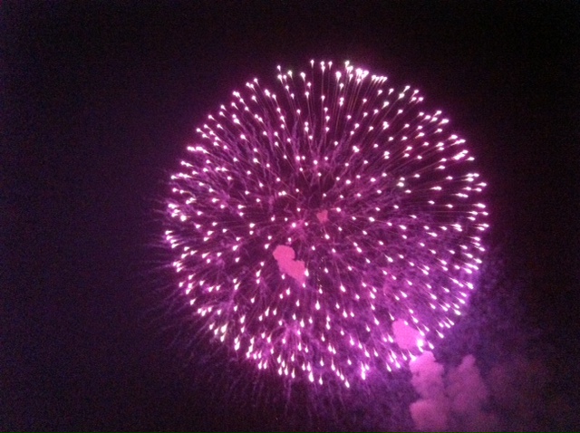 http://www.houyhnhnm.jp/blog/noguchi_yuka/images/13pink.JPG