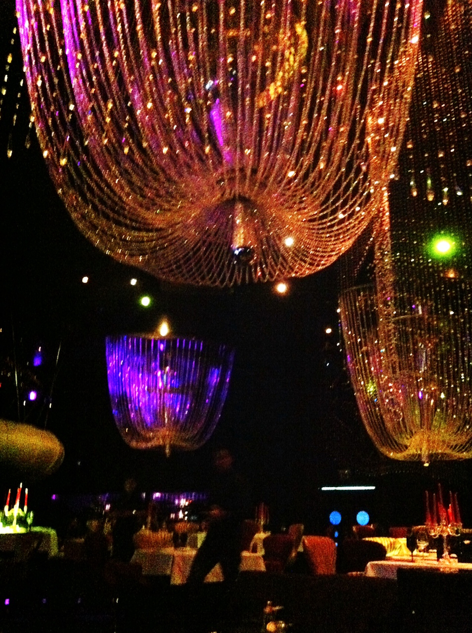 http://www.houyhnhnm.jp/blog/noguchi_yuka/images/cavali.jpg