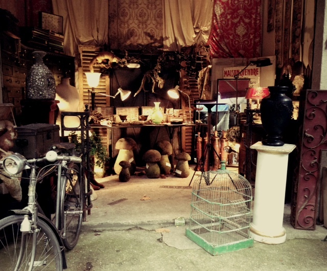 http://www.houyhnhnm.jp/blog/noguchi_yuka/images/kinokos.JPG