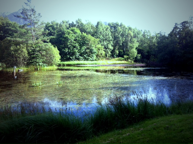 http://www.houyhnhnm.jp/blog/noguchi_yuka/images/lake.JPG
