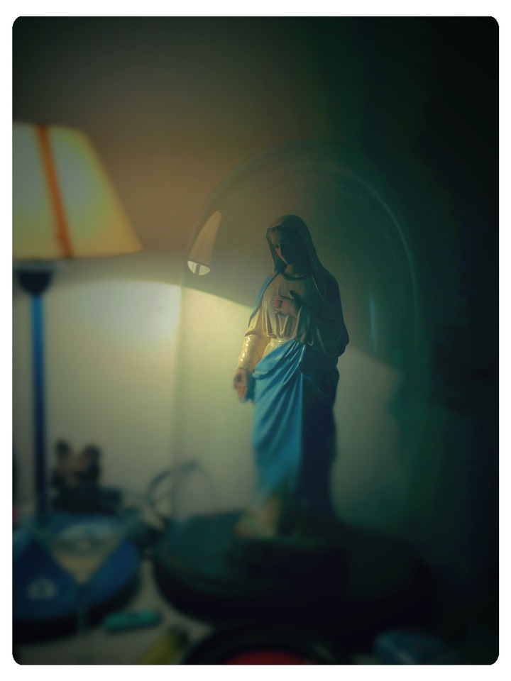 http://www.houyhnhnm.jp/blog/noguchi_yuka/images/maria.JPG