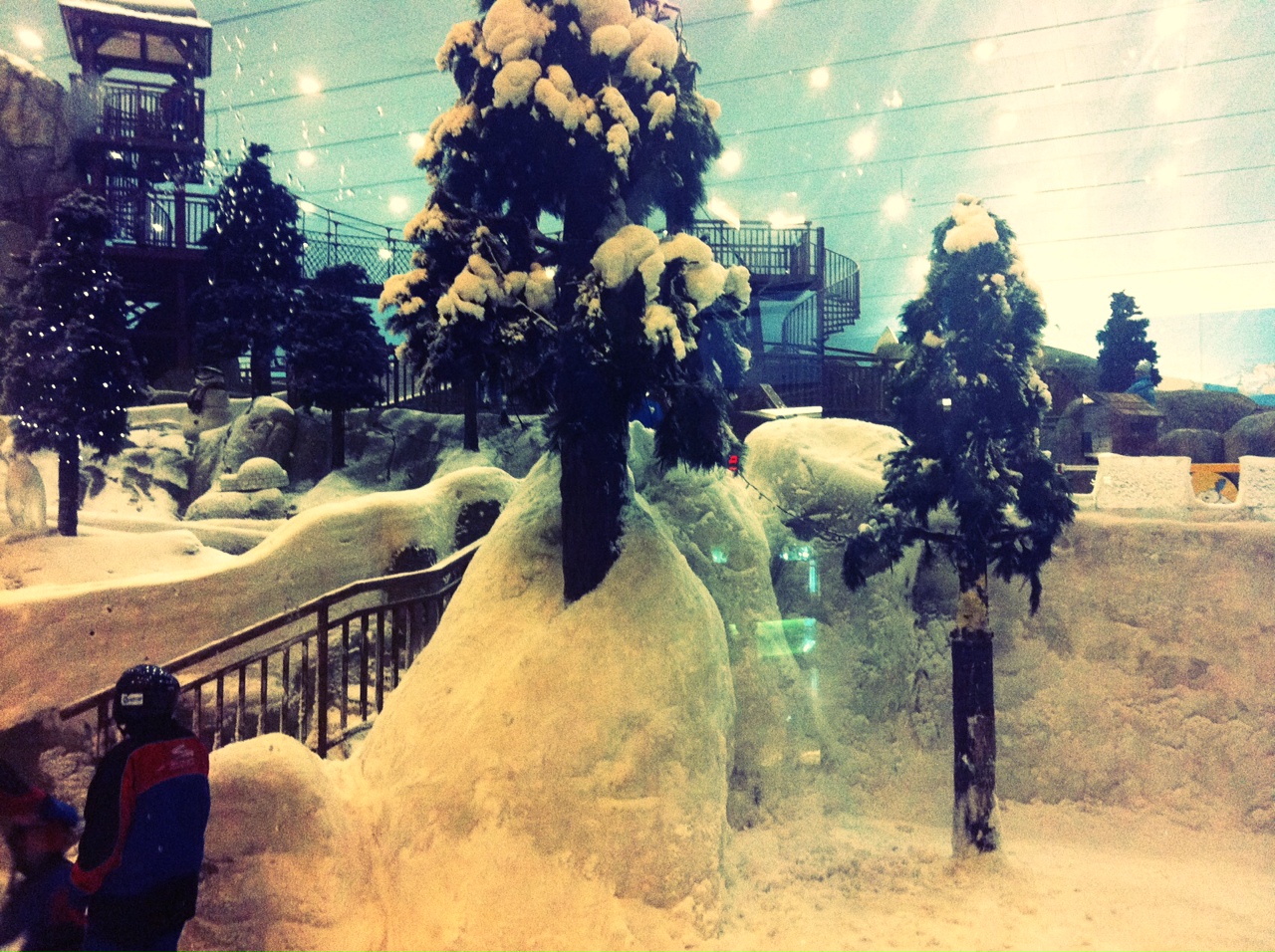 http://www.houyhnhnm.jp/blog/noguchi_yuka/images/ski.JPG