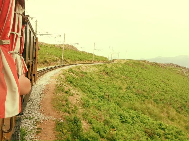 http://www.houyhnhnm.jp/blog/noguchi_yuka/images/train.JPG