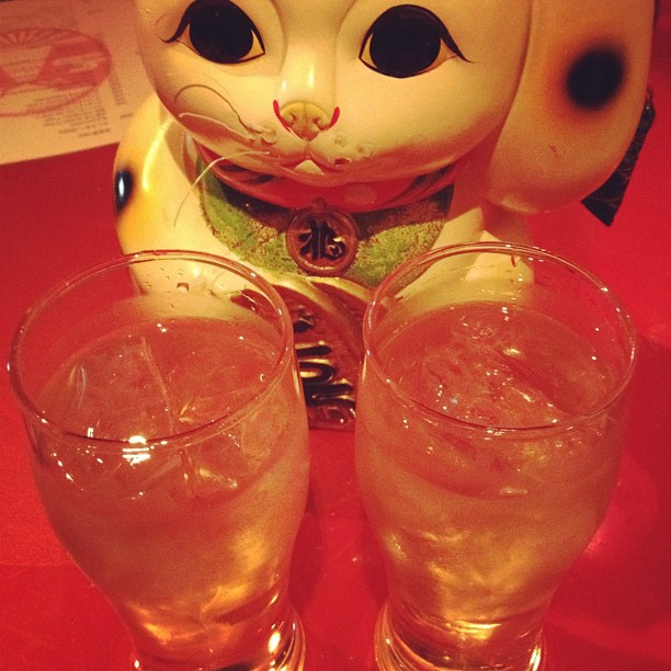 http://www.houyhnhnm.jp/blog/oiran/images/267373_10151245230050330_683758798_n.jpg