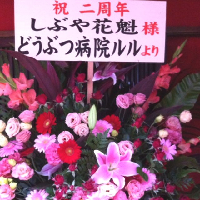 http://www.houyhnhnm.jp/blog/oiran/images/lulu.jpeg
