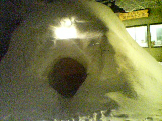 20080223204501.jpg