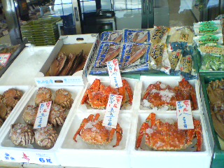 20080225121858.jpg