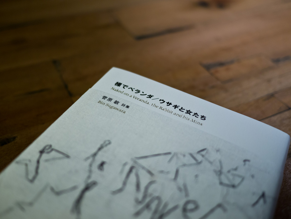 http://www.houyhnhnm.jp/blog/sugawara/images/P1000155.jpg