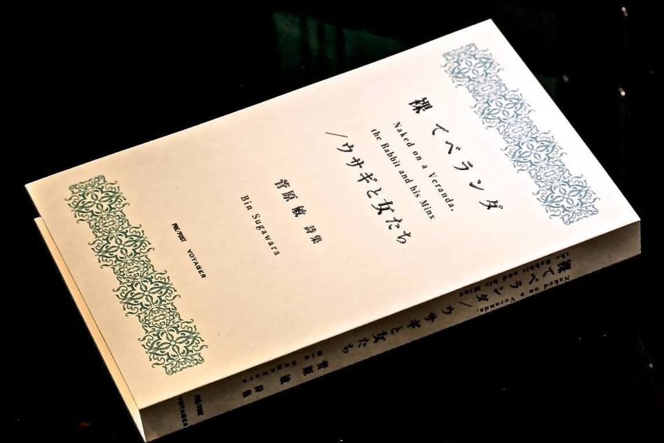 http://www.houyhnhnm.jp/blog/sugawara/images/papero.jpg