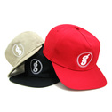 H710,GE CAP