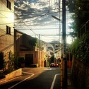 自分の夢に、嘘はつけない