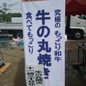 もっこり!!!