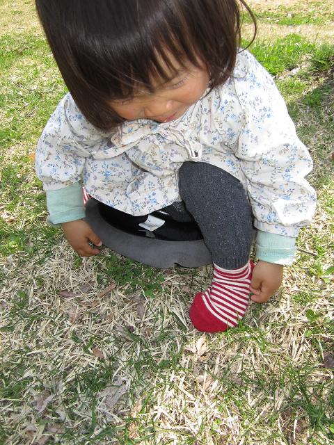 http://www.houyhnhnm.jp/blog/takeuchi/images/018strf%20%282%29.jpg
