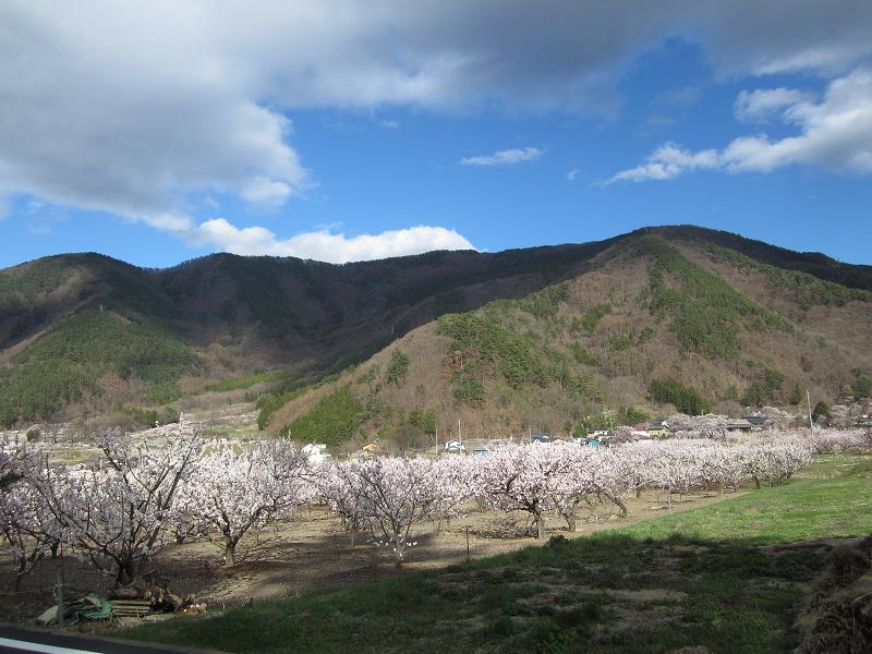 http://www.houyhnhnm.jp/blog/takeuchi/images/0tehrhjj06.jpg
