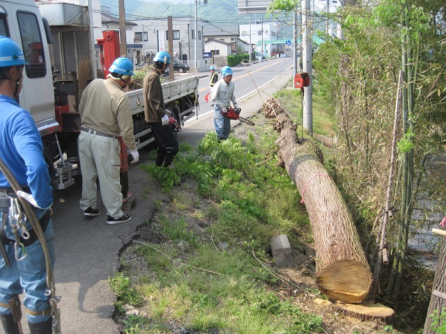 http://www.houyhnhnm.jp/blog/takeuchi/images/IMG_09hrt60.jpg