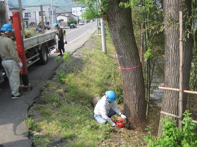 http://www.houyhnhnm.jp/blog/takeuchi/images/IMG_09rtjy59.jpg