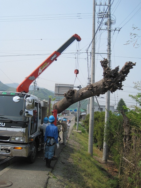 http://www.houyhnhnm.jp/blog/takeuchi/images/IMG_09yrj64.jpg