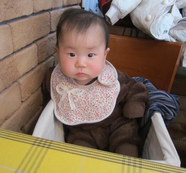 http://www.houyhnhnm.jp/blog/takeuchi/images/RSYHYTJTD009.jpg