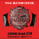 DREAM.13