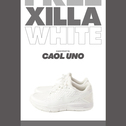NIKE FREE XILLA TR