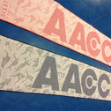 AACC 10th "Ani" versary