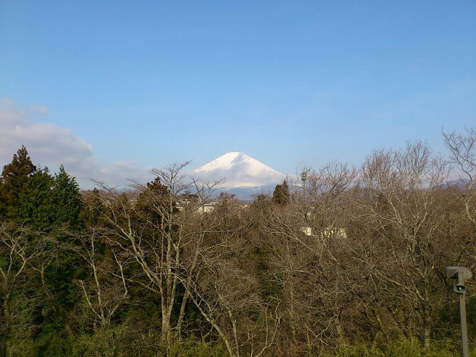 http://www.houyhnhnm.jp/blog/yanaka/images/0321-x.jpg