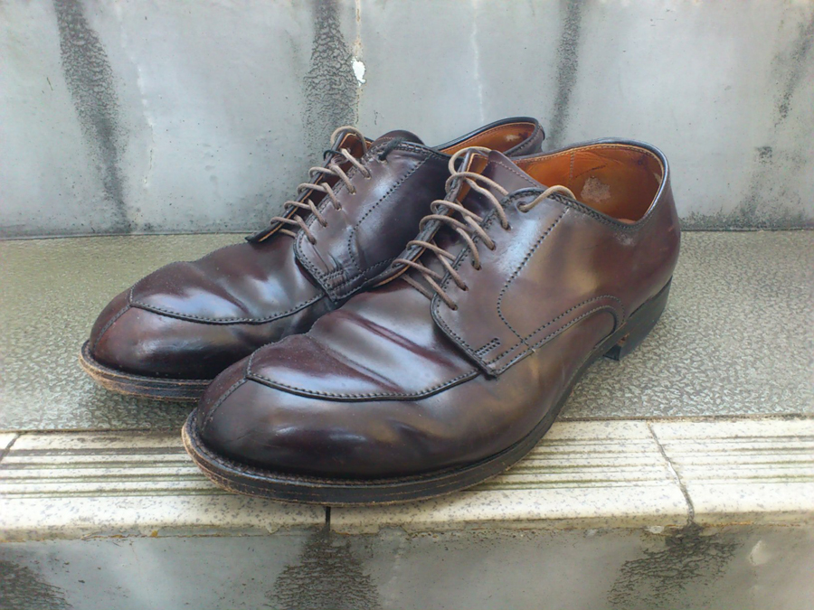 http://www.houyhnhnm.jp/blog/yanaka/images/1205a.jpg