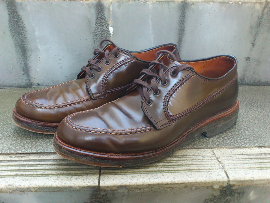 http://www.houyhnhnm.jp/blog/yanaka/images/1205c.jpg