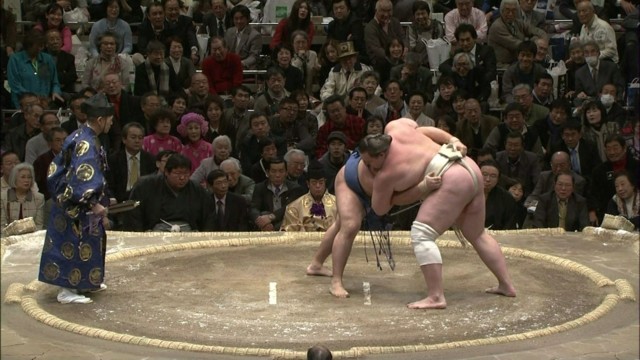 http://www.houyhnhnm.jp/blog/yanaka/images/13227-a.jpg
