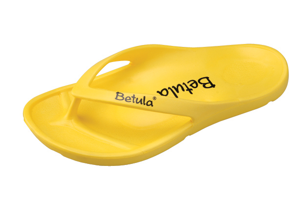 http://www.houyhnhnm.jp/blog/yanaka/images/energy_yellow.jpg