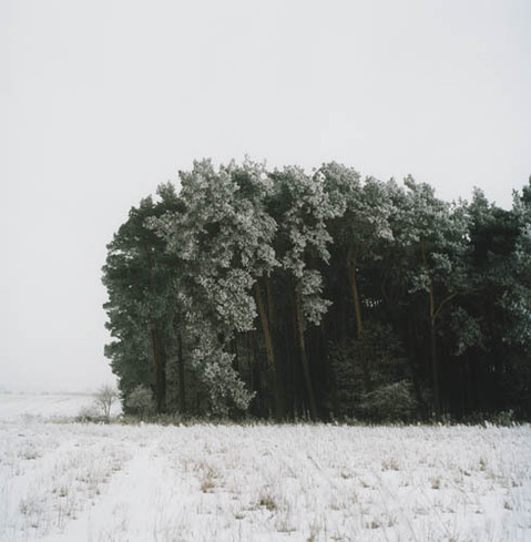 Anne_Schwalbe_Noch ein Winterwald.jpg