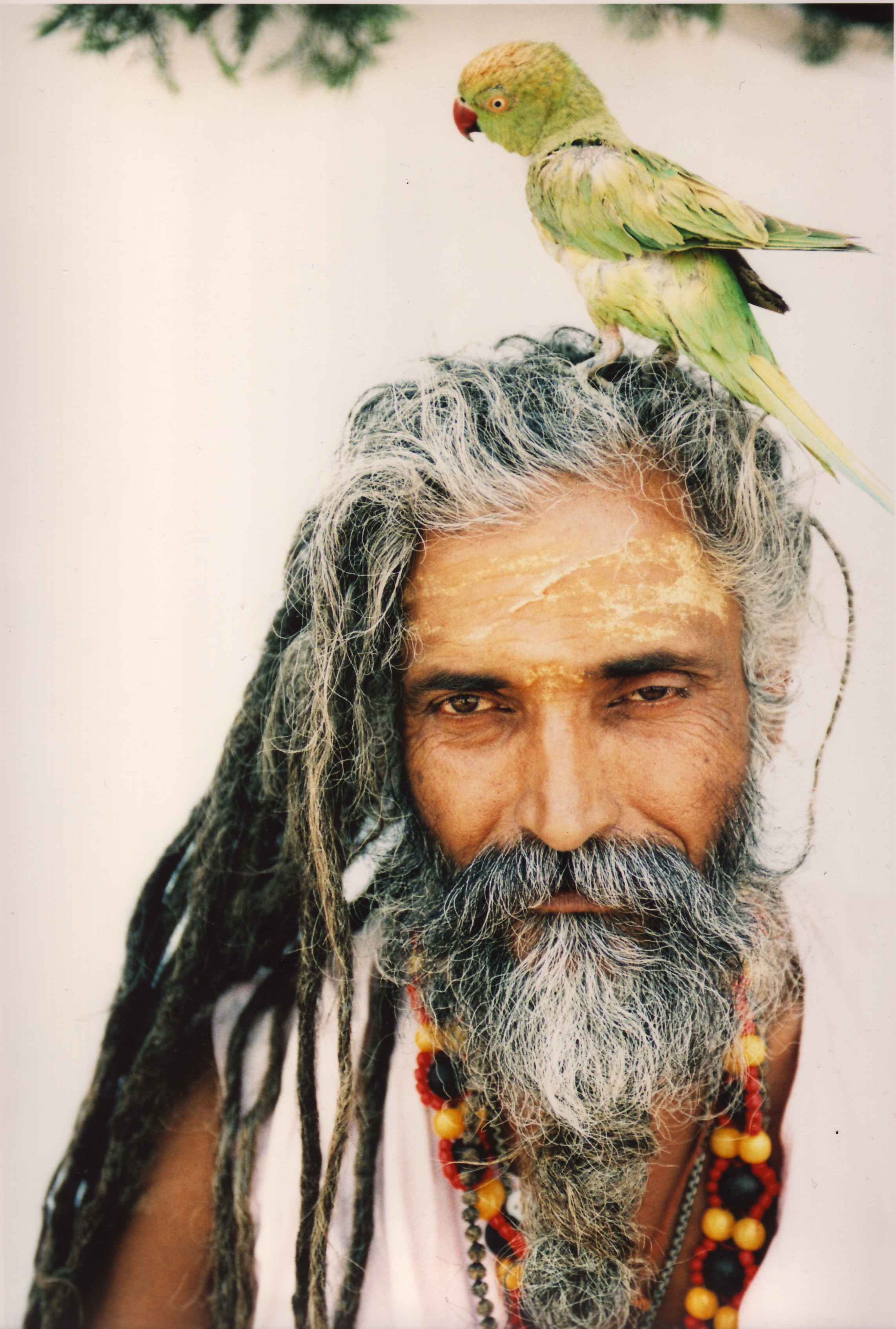 http://www.houyhnhnm.jp/culture/news/images/70india.jpg