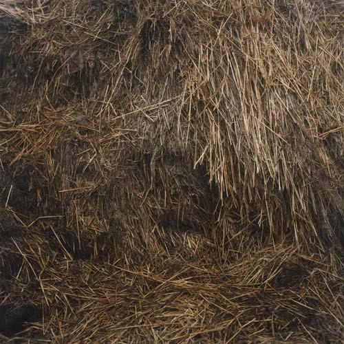 http://www.houyhnhnm.jp/culture/news/images/Anne_Schwalbe_Mist.jpg