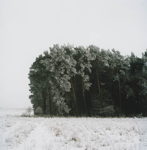 http://www.houyhnhnm.jp/culture/news/images/Anne_Schwalbe_Noch%20ein%20Winterwald.jpg