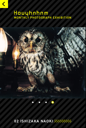 http://www.houyhnhnm.jp/culture/news/images/HYNM_PH05.png