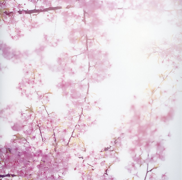 http://www.houyhnhnm.jp/culture/news/images/IMAJYO4.jpg