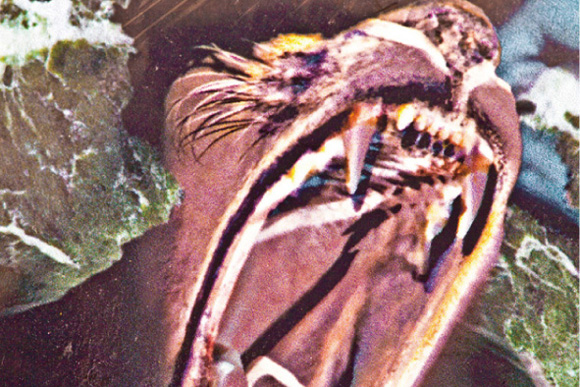 http://www.houyhnhnm.jp/culture/news/images/W_S_ume.jpg
