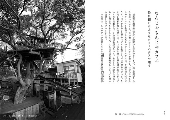 http://www.houyhnhnm.jp/culture/news/images/himitsu2_1.jpg