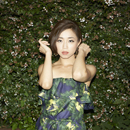 Pick Upsの画像５