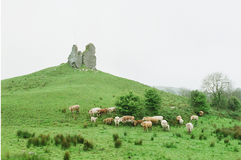 http://www.houyhnhnm.jp/news/images/Ireland_00.jpg