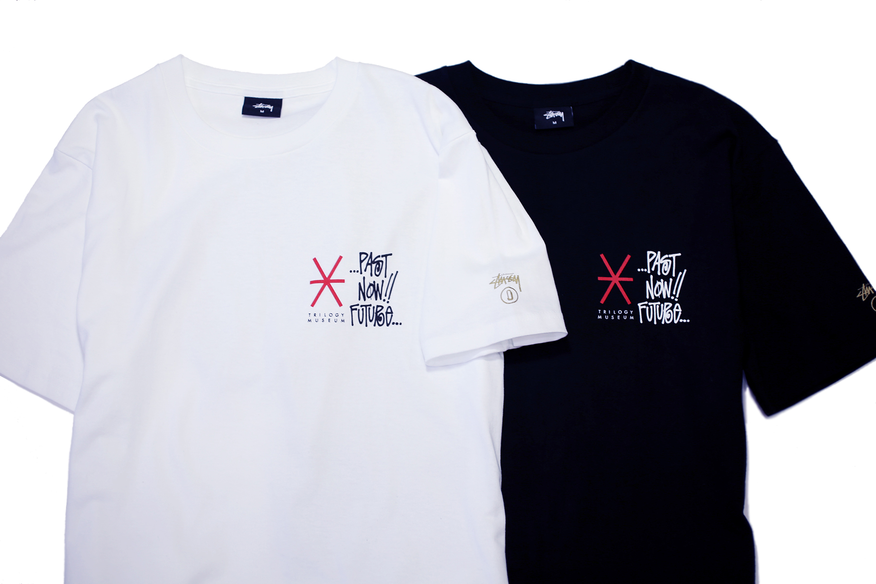 http://www.houyhnhnm.jp/news/images/JHM_STUSSY01.JPG